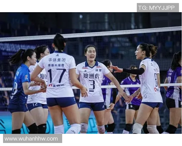 上海排球队防反革新策略解析助力球队再创辉煌